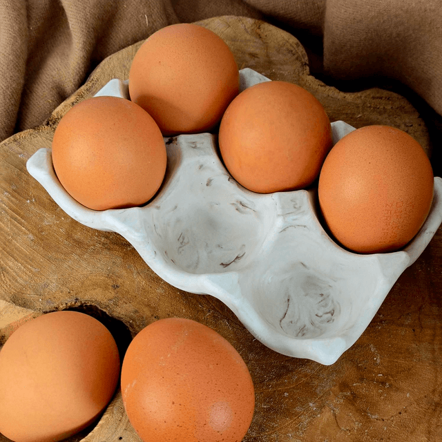 Support 6 oeufs